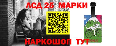 гашик Будённовск