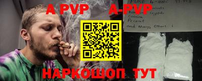 гашик Будённовск