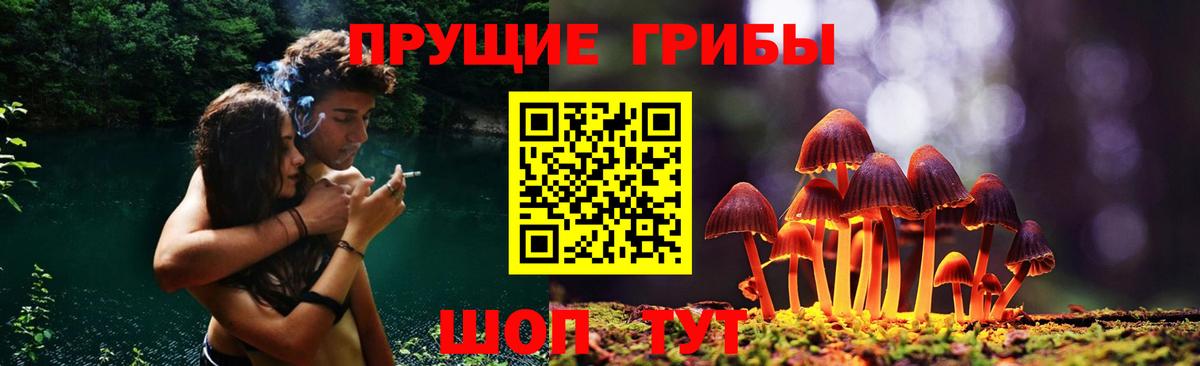 Кызыл  Псилоцибиновые грибы Magic Shrooms  Вход с VPN 